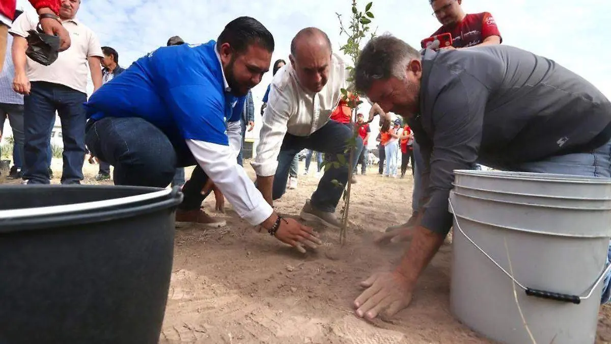 Reforestación en Pozos (2)